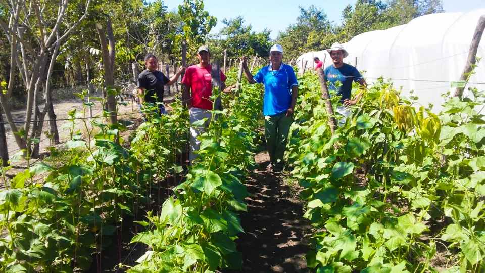 Producers from San Salvador promote practices with an agroecological approach